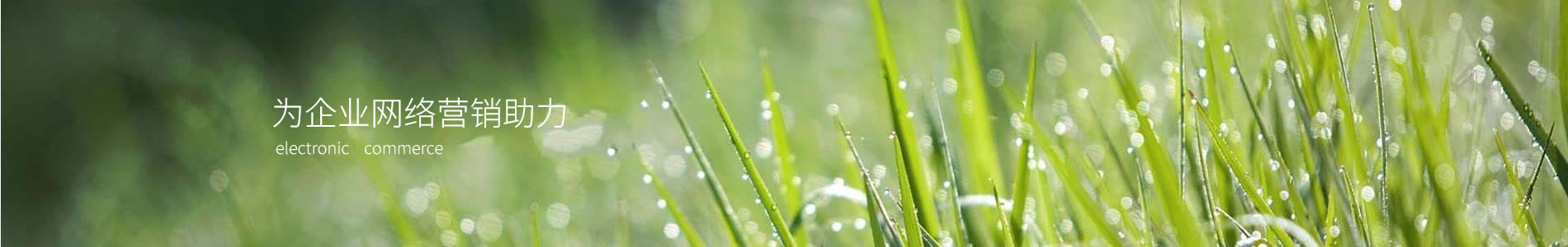 ൺлϻе޹˾